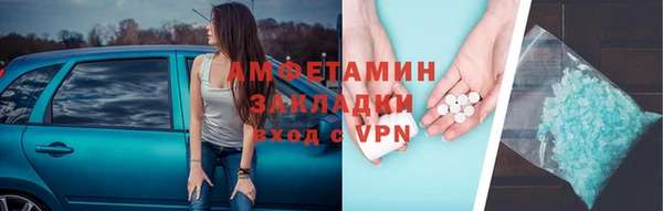 сатива Тайга